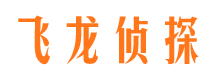 双城市婚外情调查